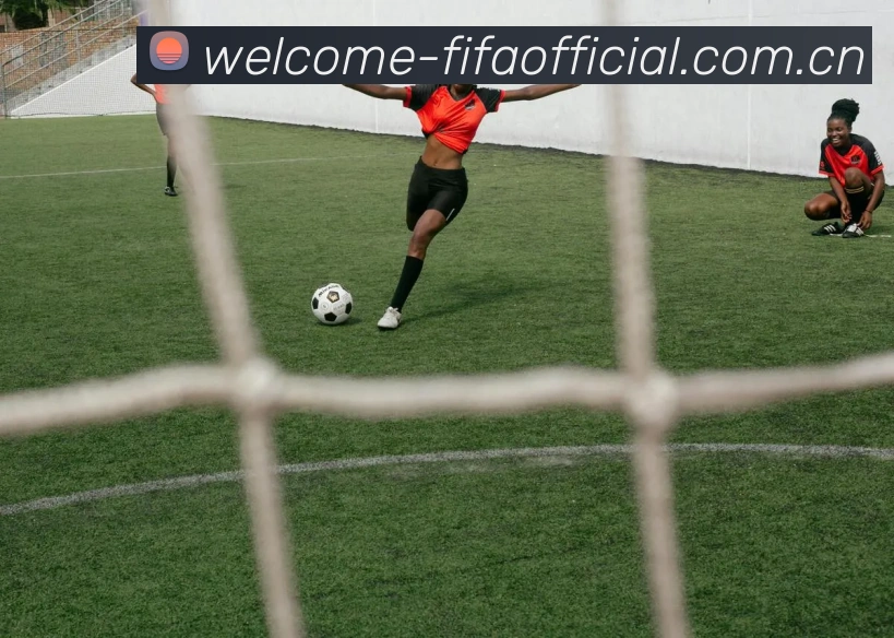 FIFA官方认证