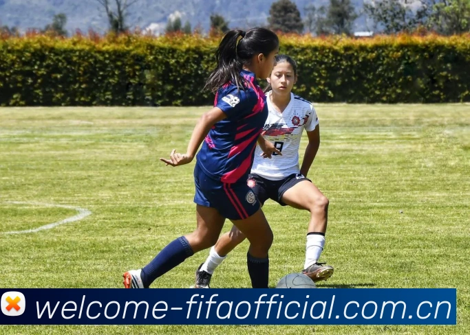 FIFA 官方数据授权认证